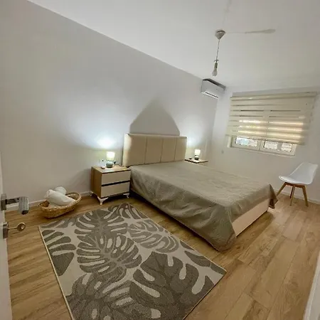 Elma's Center Of * Tiran