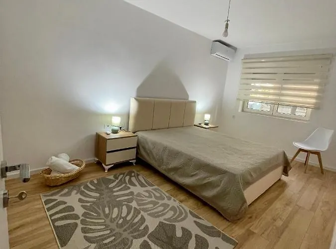 Elma's Center Of * ティラナ